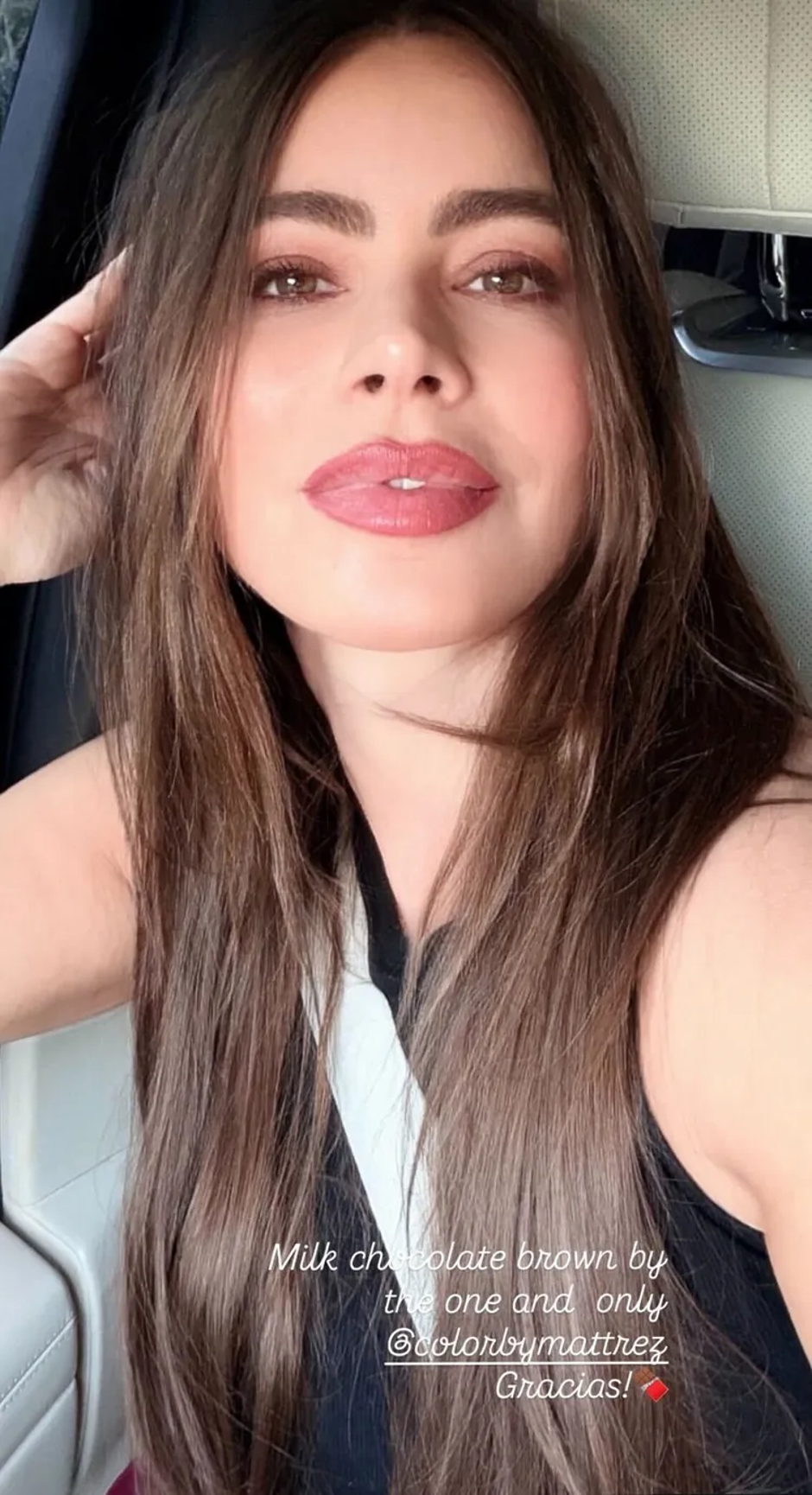  | Autor: Instagram @sofiavergara