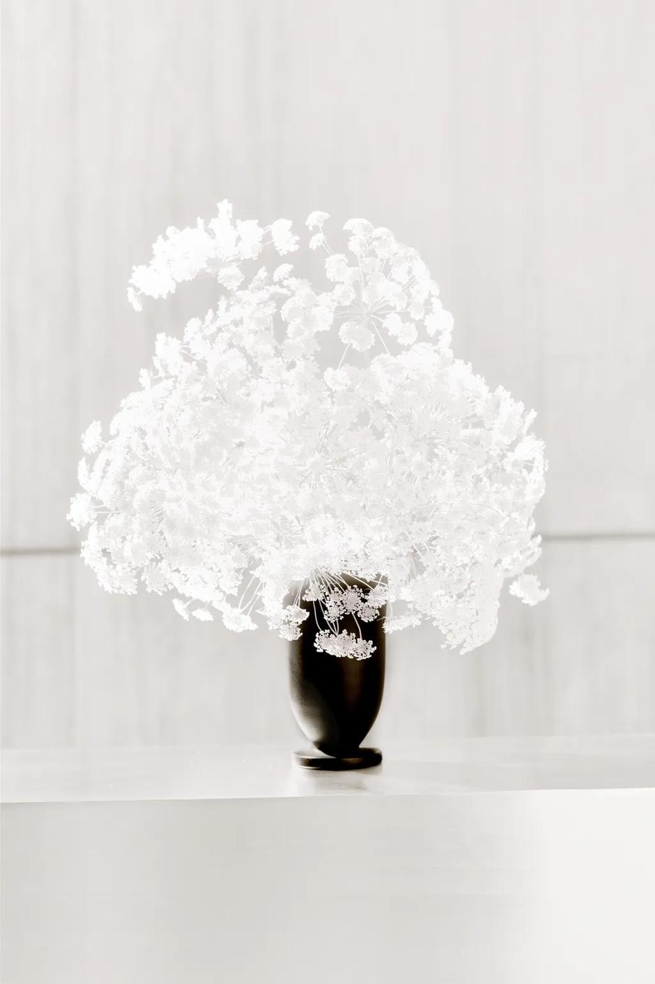  | Autor: Zara Home