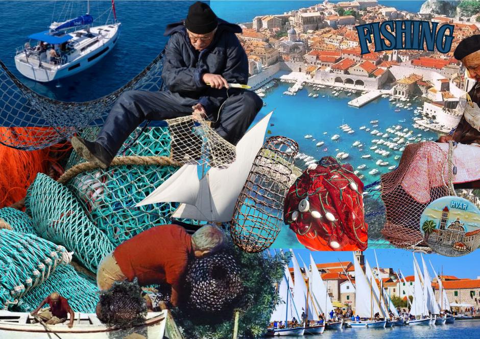  | Autor: zelina doncic