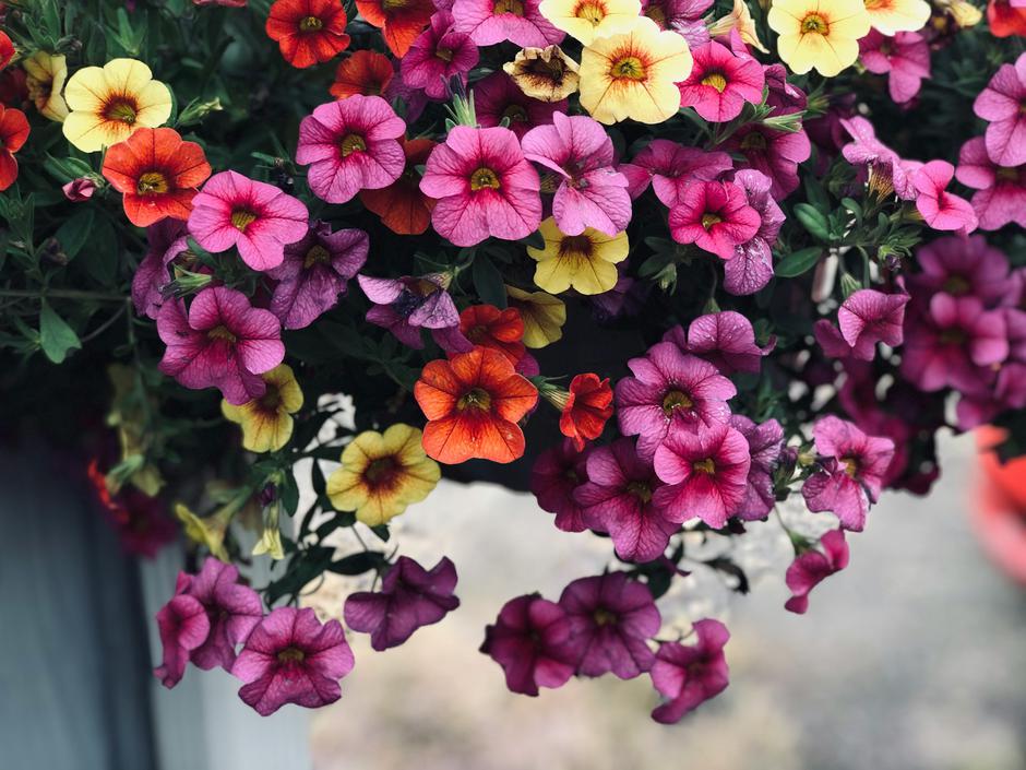  | Autor: Unsplash/Emma Henderson
