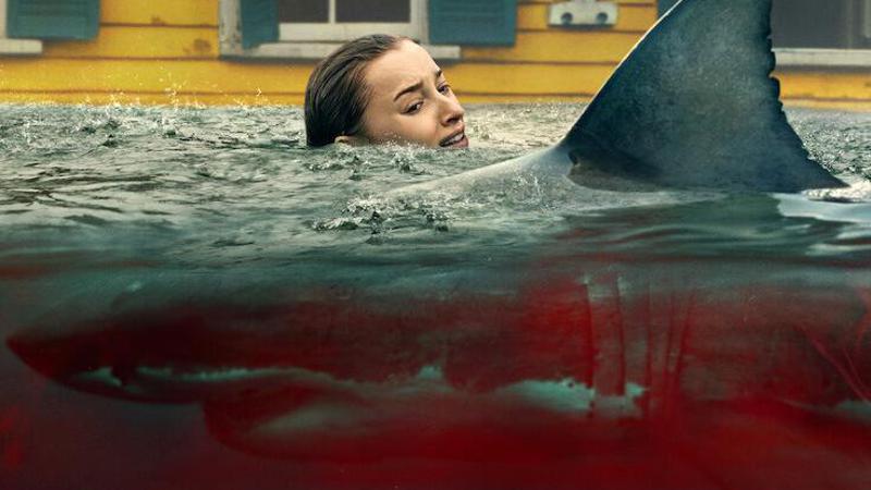 Za&scaron;to su filmovi o morskim psima uvijek dobra ideja, &ccaron;ak i kada su lo&scaron;i? Kao Netflixov trenuta&ccaron;ni hit