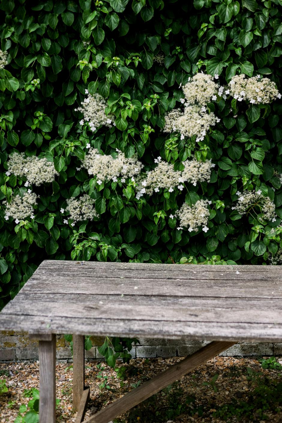  | Autor: Unsplash/Annie Spratt