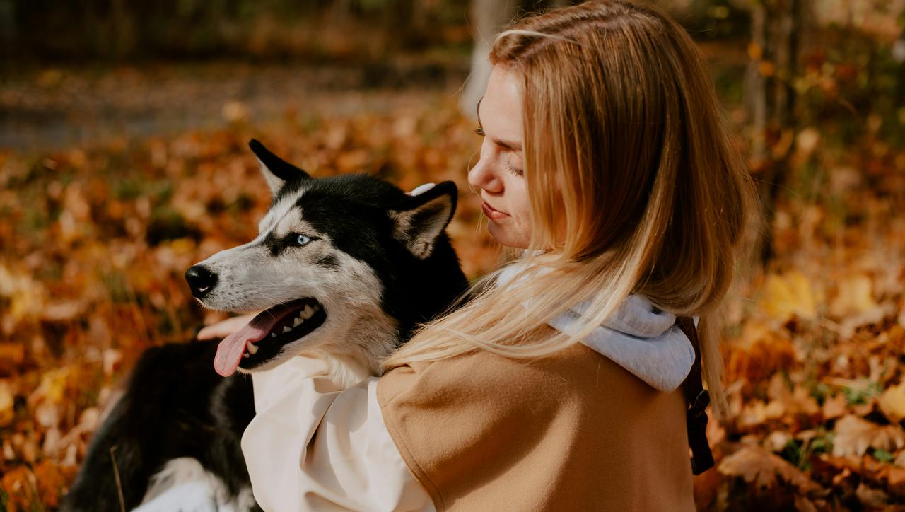 Pasmina i osobnost vlasnika