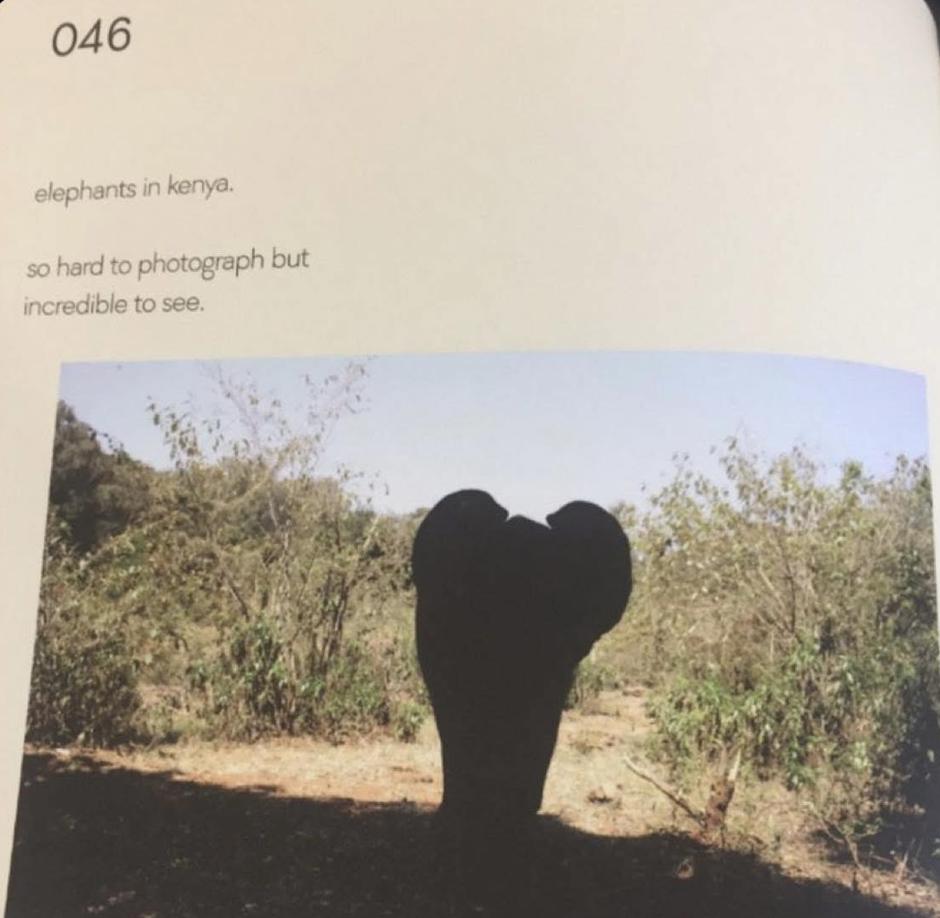  | Autor: Privatni album