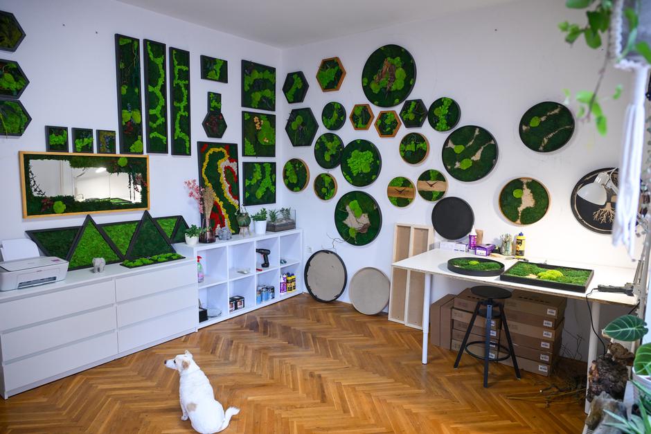  | Autor: Pixsell/Igor Šoban