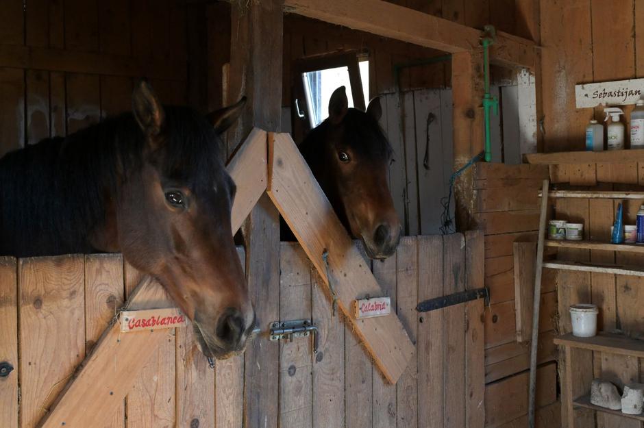  | Autor: Rene Karaman