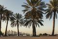 Tradicija i luksuz u gradu nebodera: Predivna Doha