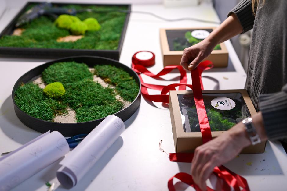  | Autor: Pixsell/Igor Šoban