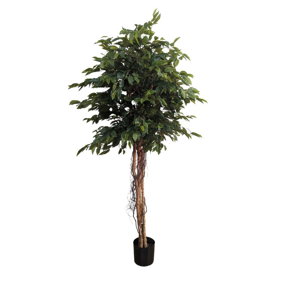  | Autor: Dobar partner