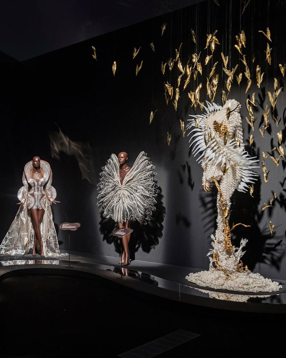  | Autor: Foto: Instagram / @irisvanherpen