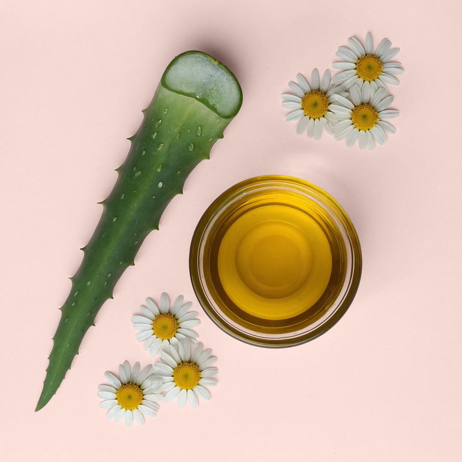  | Autor: Luminance Milano