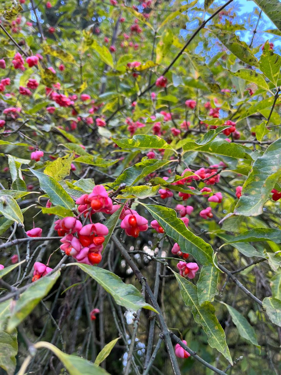  | Autor: Unsplash/Milda Varne