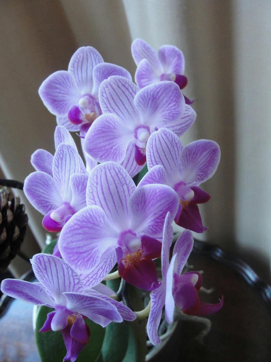  | Autor: Unsplash/Sarina Kosewsky