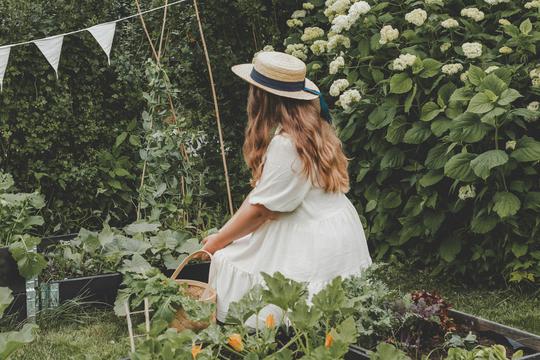 Kako koristiti cimet u vrtu