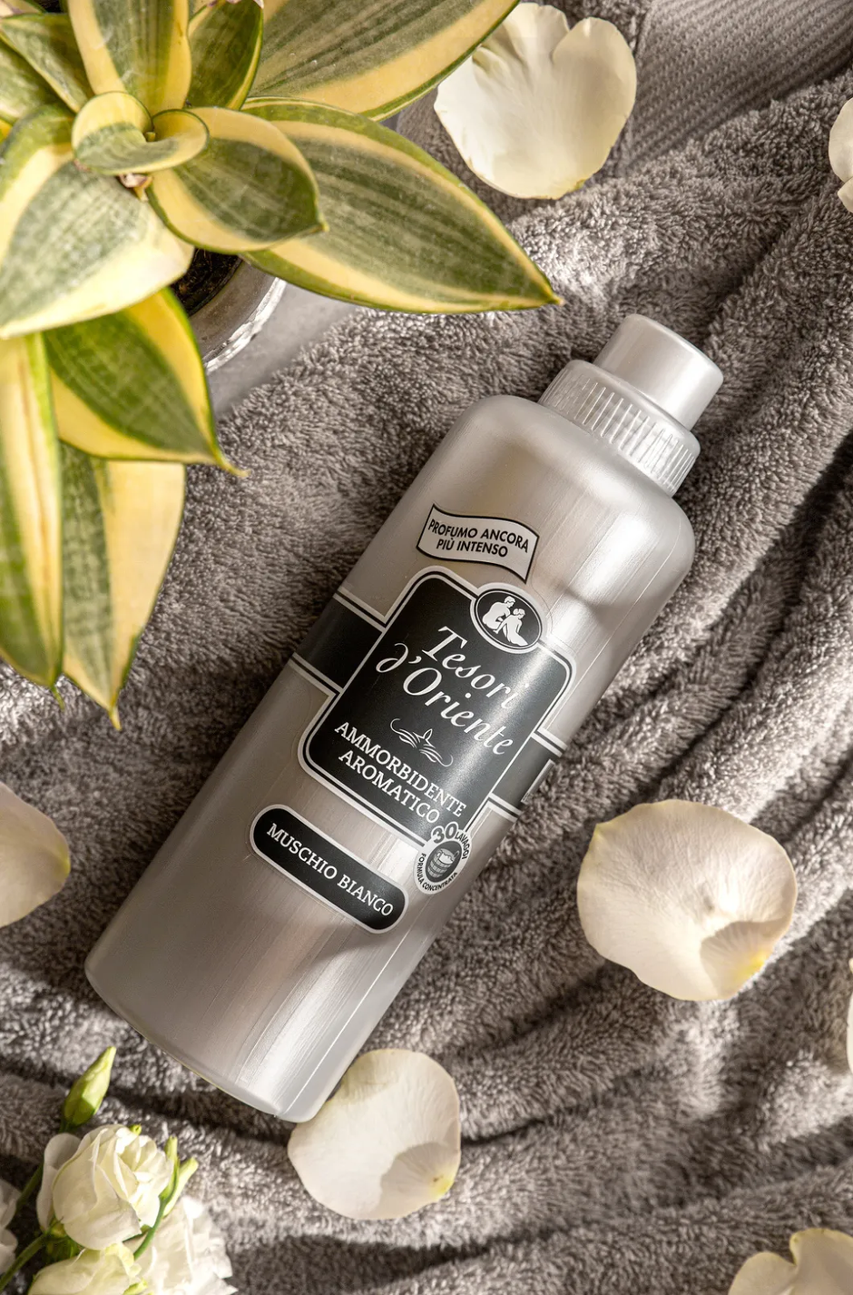  | Autor: Tesori d'Oriente