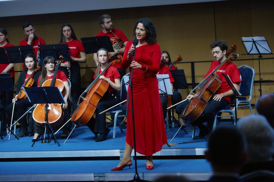  | Autor: Zvonimir Ferina