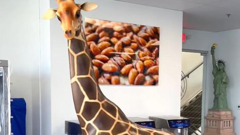 Žirafa od čokolade Amauryja Guichona