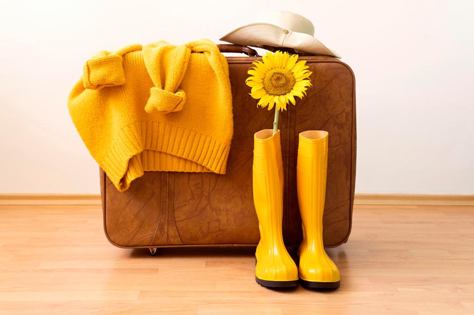  | Autor: freepik/freepik