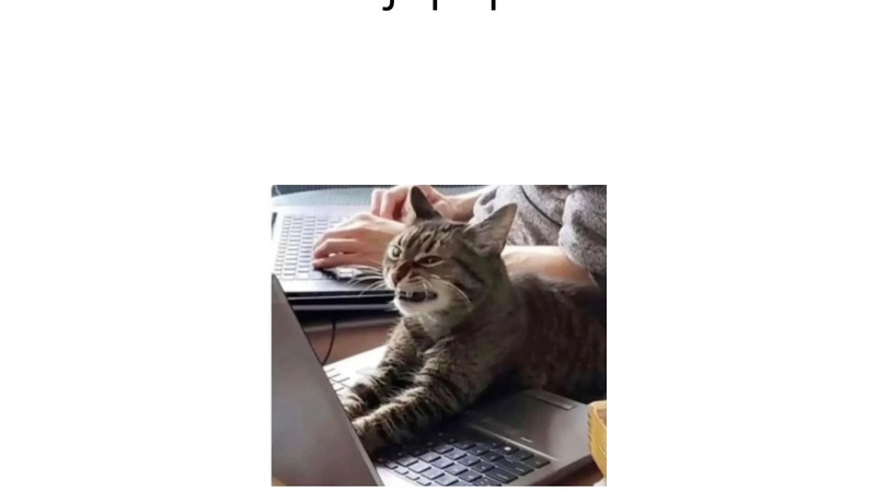 Bolje da mi ne vide ljudi izraz lica! 🤣🤣