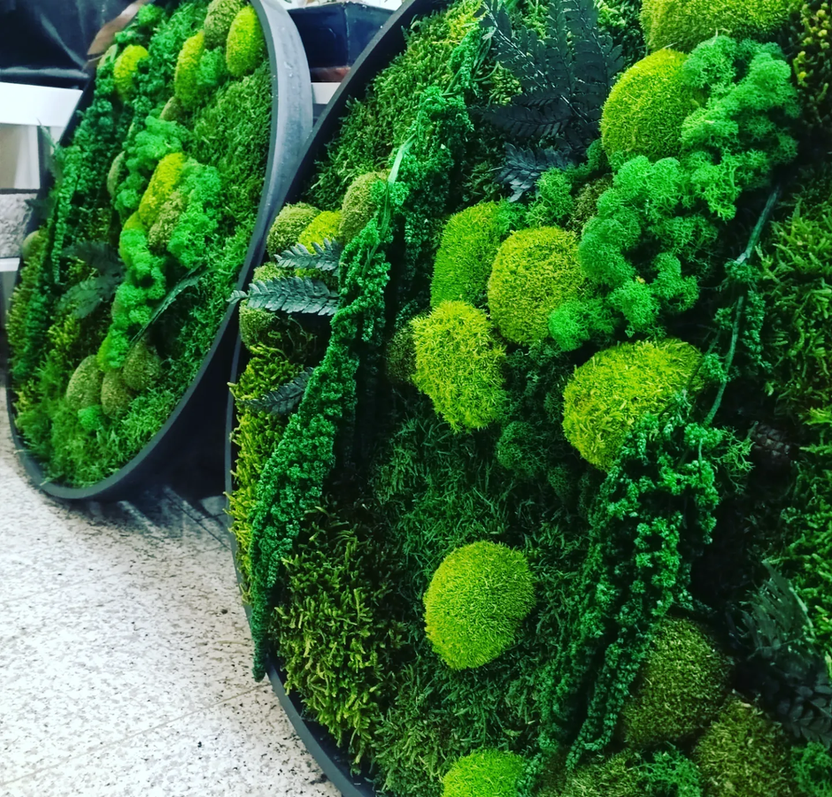  | Autor: Tropika Green Butique