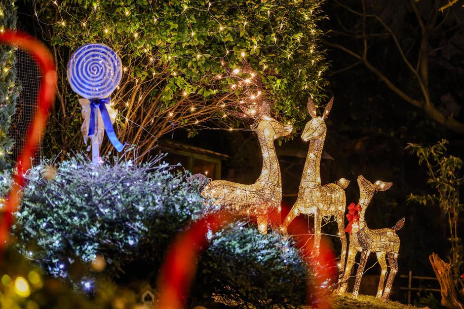  | Autor: Pixsell/ Emica Elvedji/ Pixsell