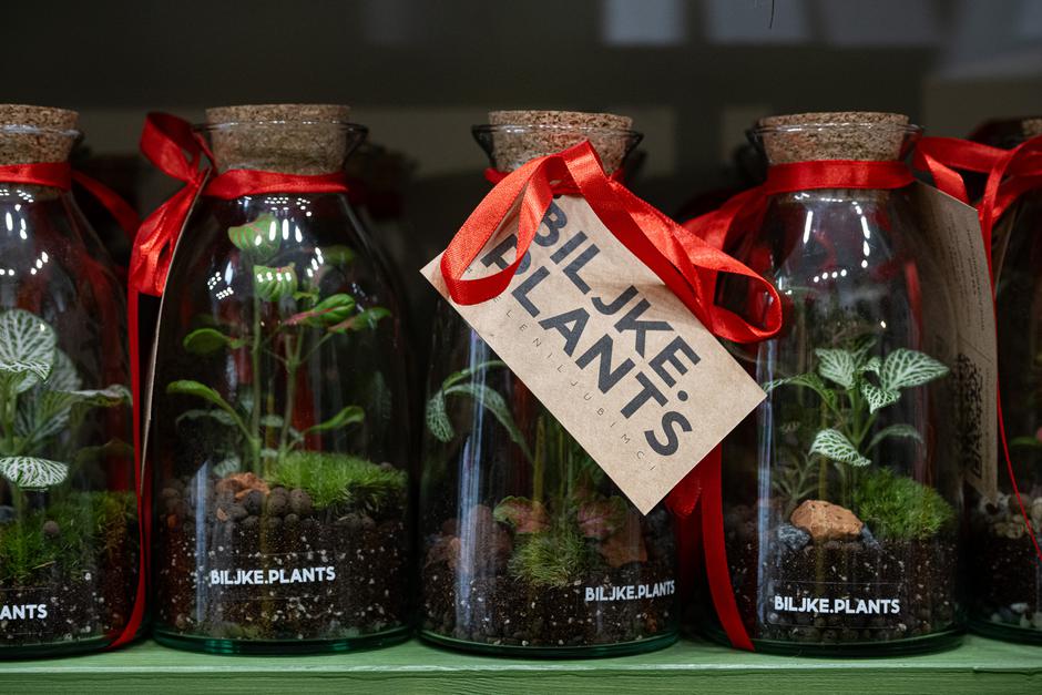  | Autor: Davor Puklavec/ Pixsell