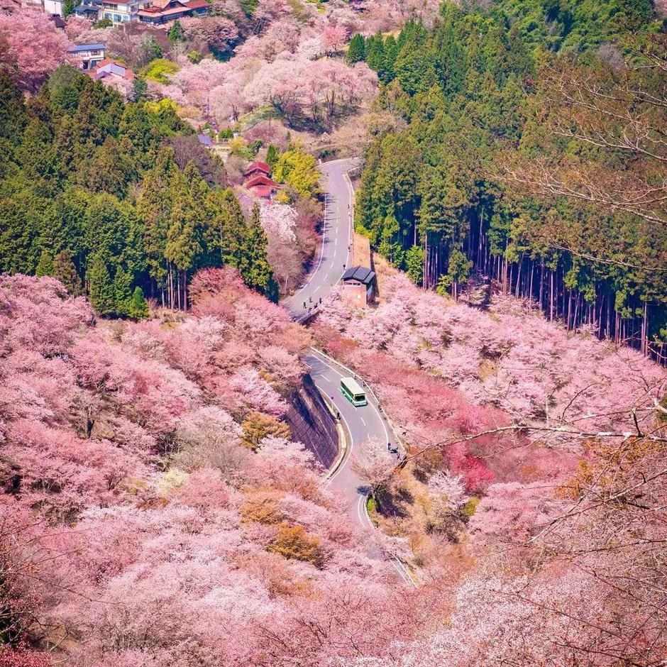  | Autor: Instagram @traveler_sui