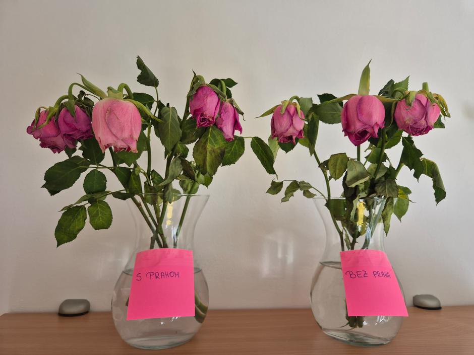  | Autor: Privatna arhiva