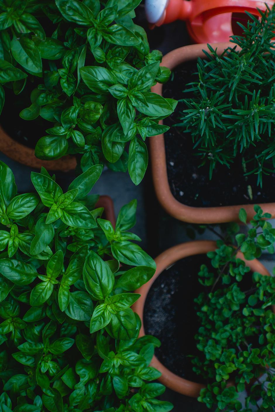  | Autor: Unsplash/Markus Spiske