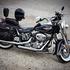 Pogledajte kako je bilo jučer na Harley Weeku Zagreb na Bundeku, traje još danas
