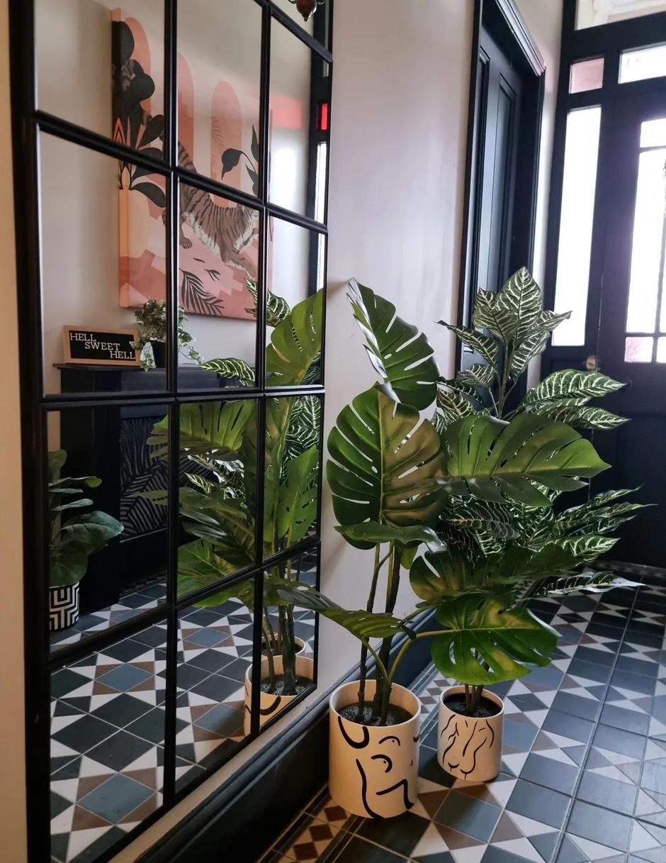  | Autor: Instagram @hardy_cottage