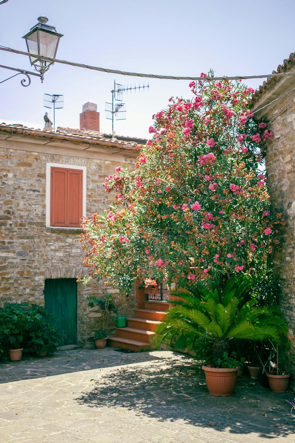  | Autor: Unsplash+/Jerome Maas