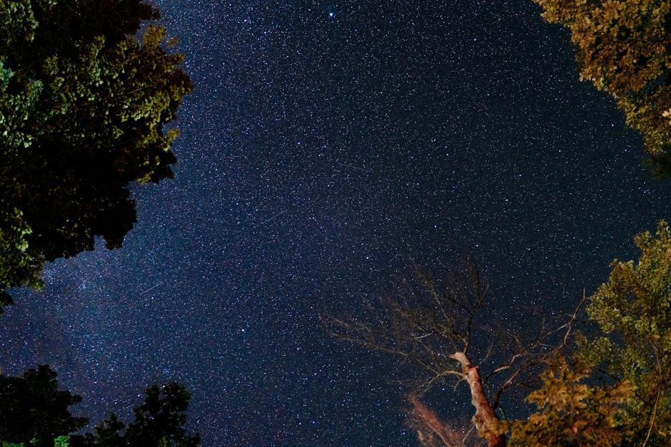  | Autor: Unsplash / Nikhil Mitra