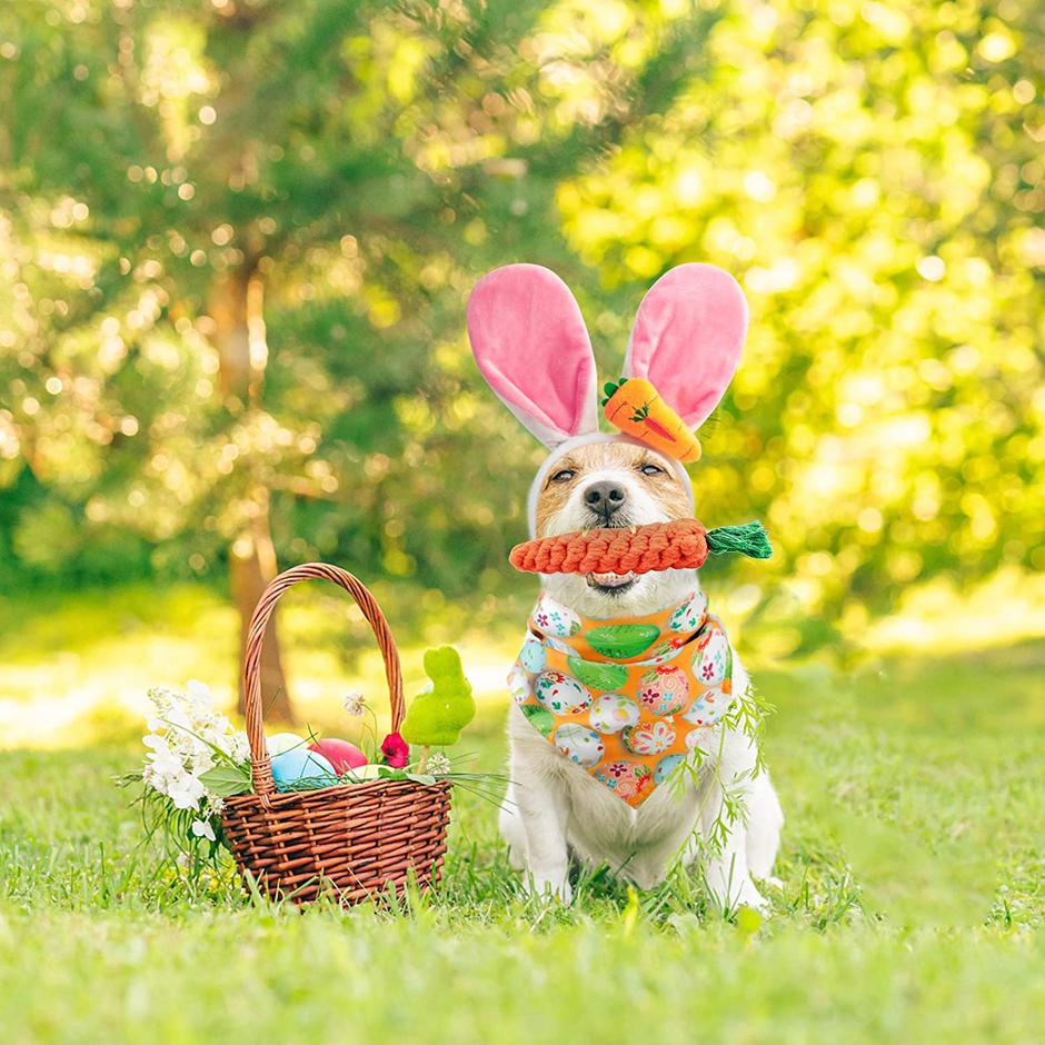 Uskršnji kostimi i igračke za psa | Autor: amazon.com