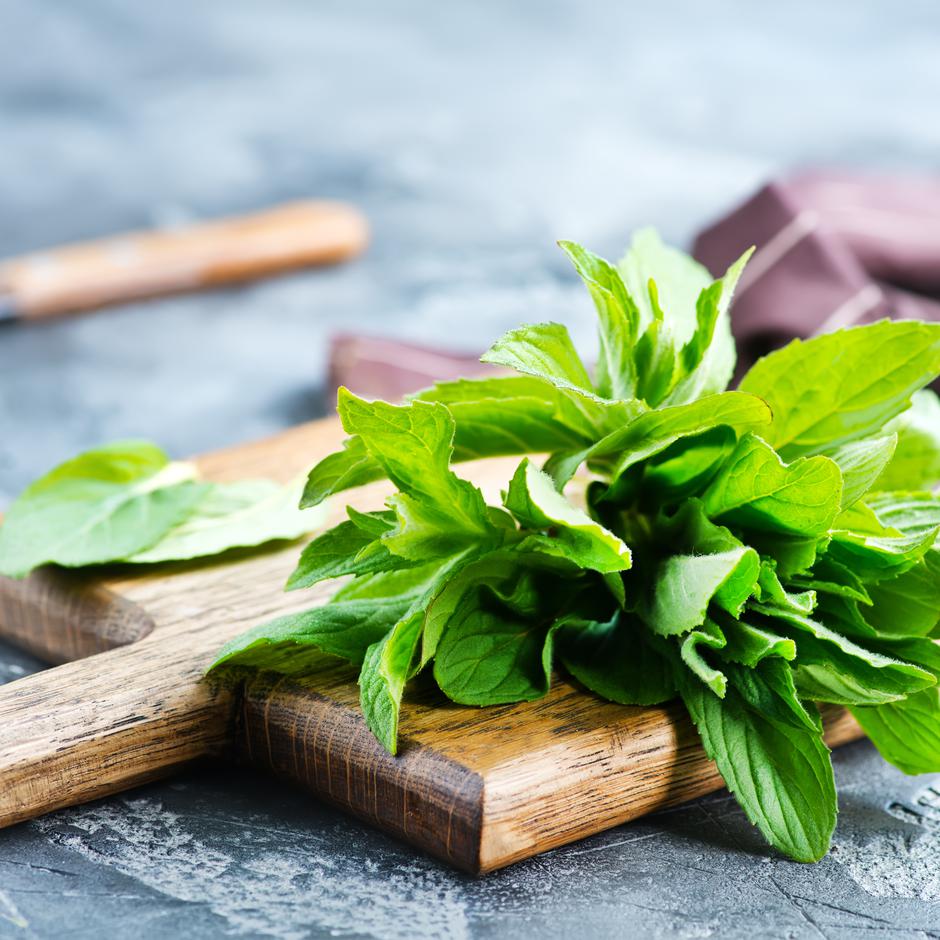 Najbolje začinsko bilje koje možeš uzgajati kod kuće, a jelima će dati nevjerojatan okus | Autor: shutter