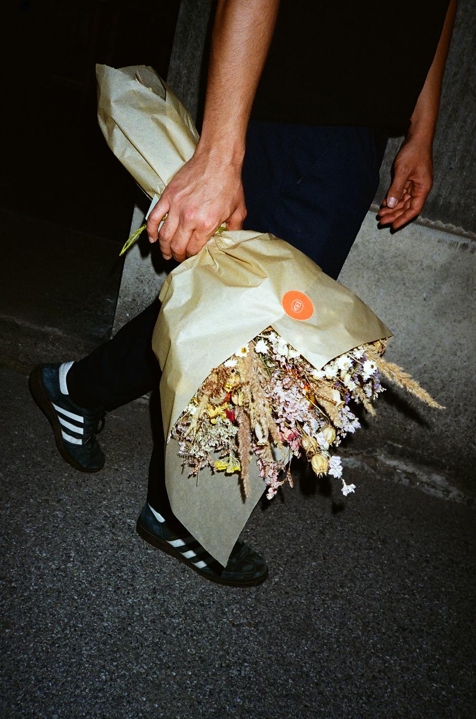  | Autor: Lucija Drača