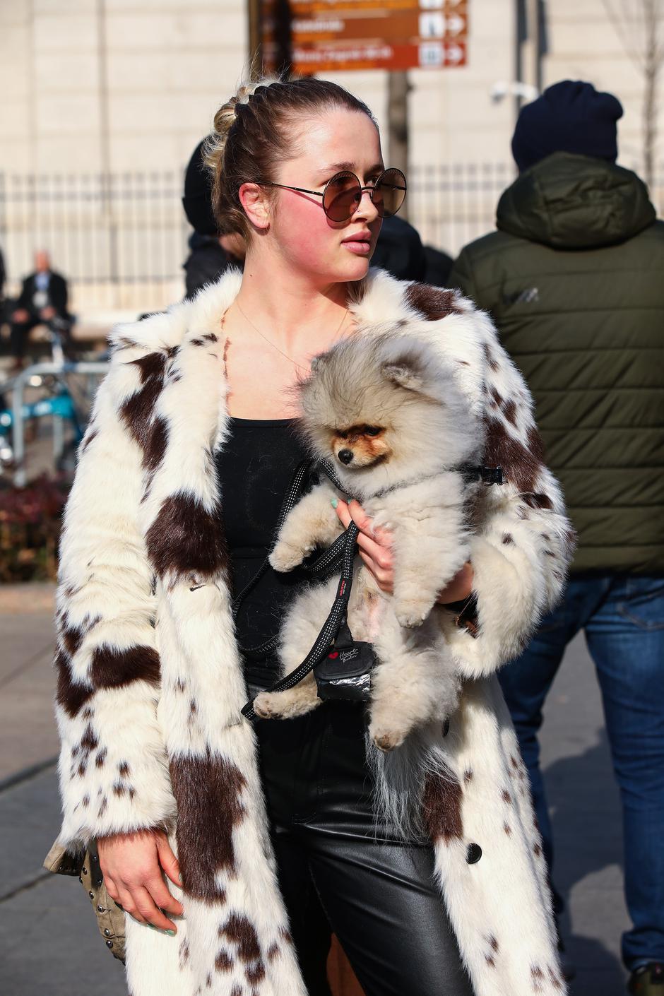  | Autor: Pixsell/Emica Elveđi