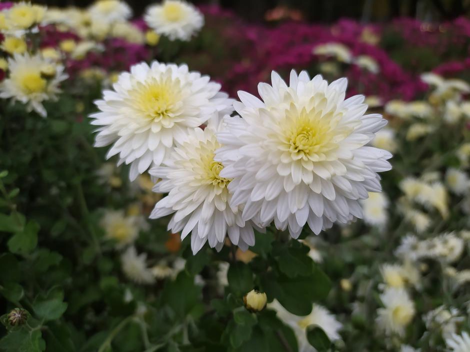  | Autor: Unsplash/Julia Ly