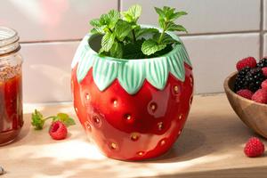 FOTO: Bacamo se na uređenje terase ili balkona. Ove Sinsay tegle za biljke će im dati dozu šarma