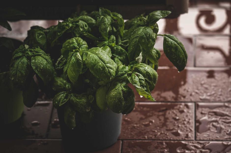  | Autor: Pexels/Francesco Ungaro
