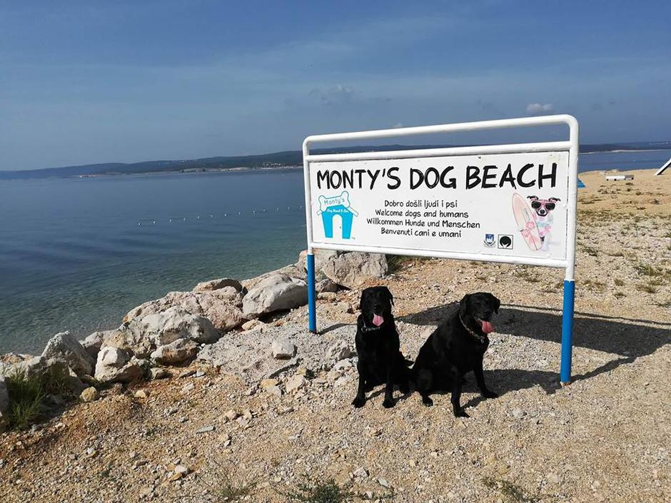  | Autor: privatni album/Monty's Dog Beach&Bar
