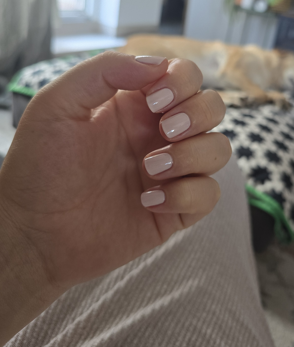  | Autor: Privatna arhiva