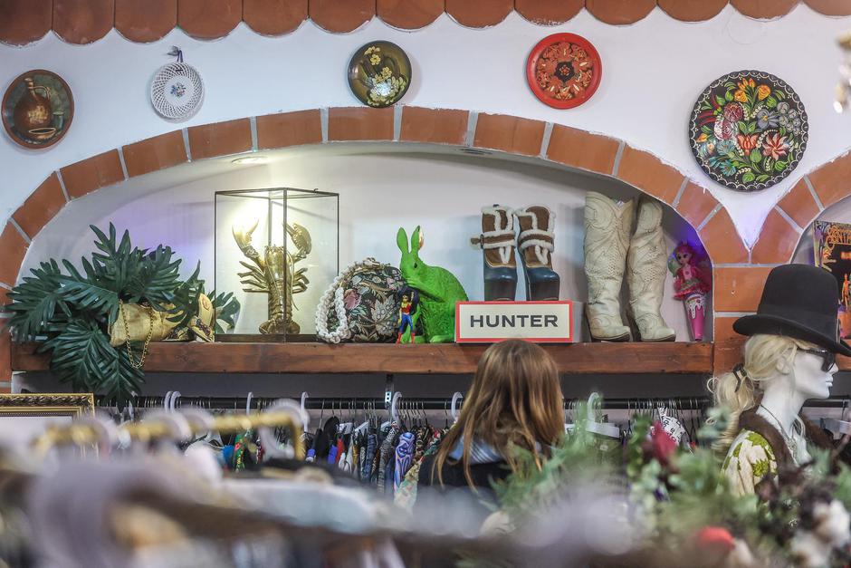  | Autor: Pixsell/Slavko Midžor