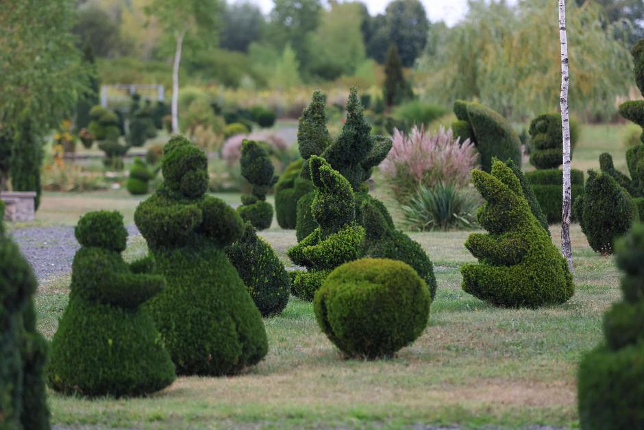  | Autor: Pixsell/Sanjin Strukić