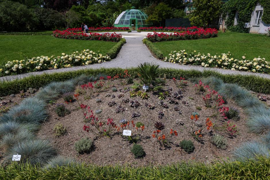  | Autor: Pixsell / Sanjin Strukić