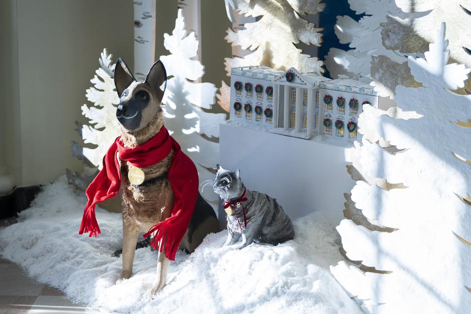 Bijela kuća božićno uređenje | Autor: Chris Kleponis/CNP / Pixsell