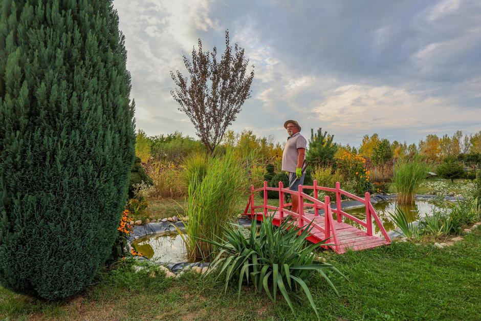  | Autor: Pixsell/Sanjin Strukić