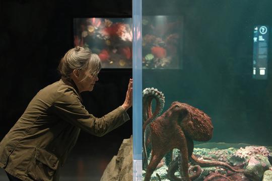 Netflixov film Remakably Bright Creatures