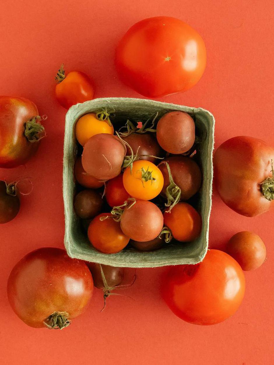  | Autor: Unsplash/Hans