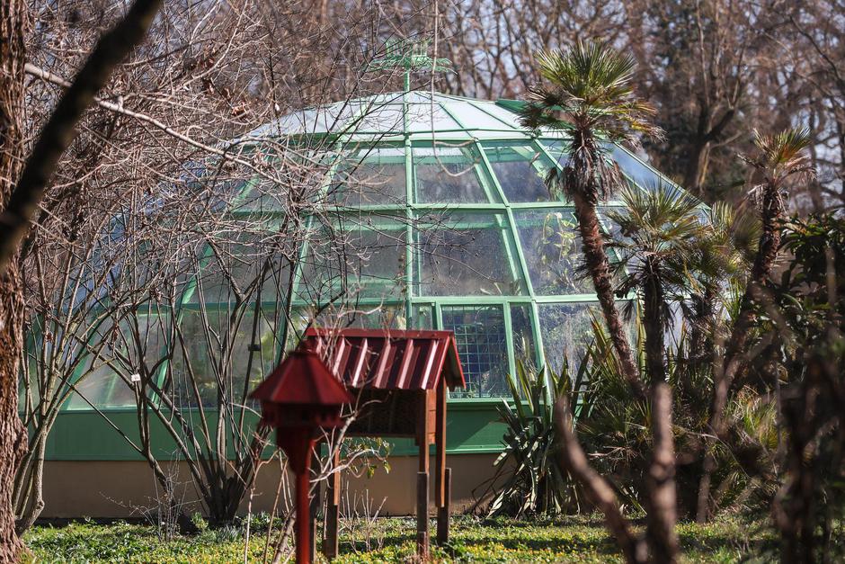 Foto: Pixell/ Sanjin Strukic, buđenje proljeća u Botaničkom vrtu | Autor: Pixell/ Sanjin Strukic